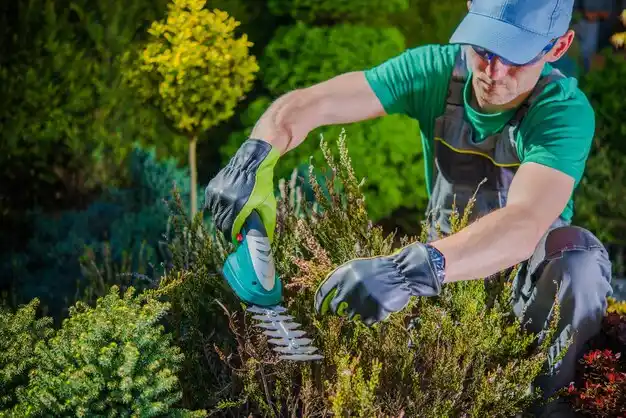 landscaping services Canton